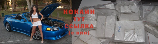 PSILOCYBIN Кулебаки