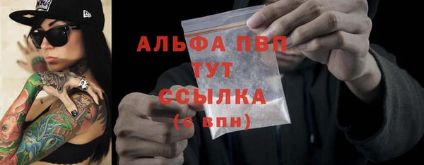 PSILOCYBIN Кулебаки