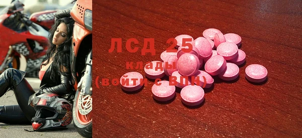 PSILOCYBIN Кулебаки