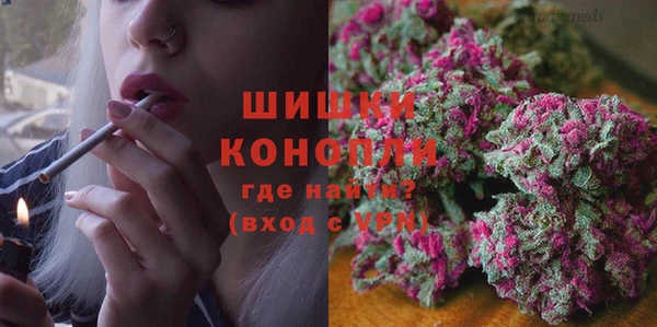 PSILOCYBIN Кулебаки