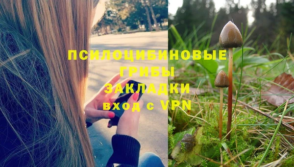 PSILOCYBIN Кулебаки