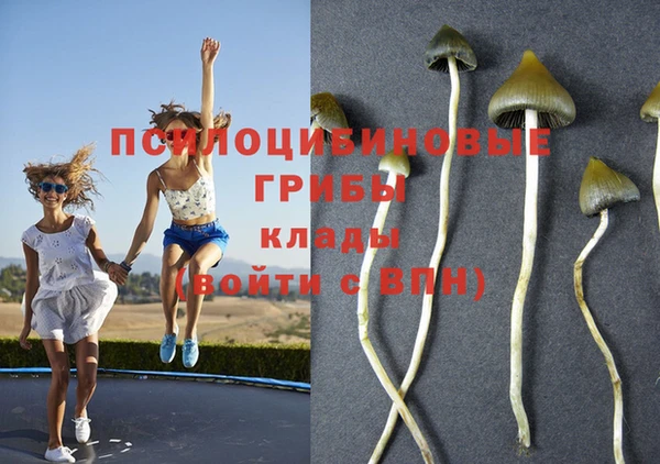 мдпв Кукмор