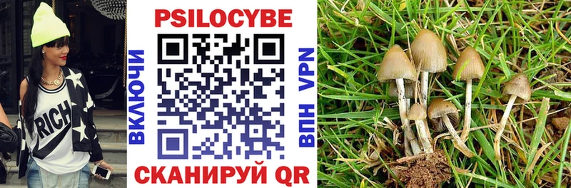 где можно купить   omg маркетплейс  Псилоцибиновые грибы MAGIC MUSHROOMS  Макаров 